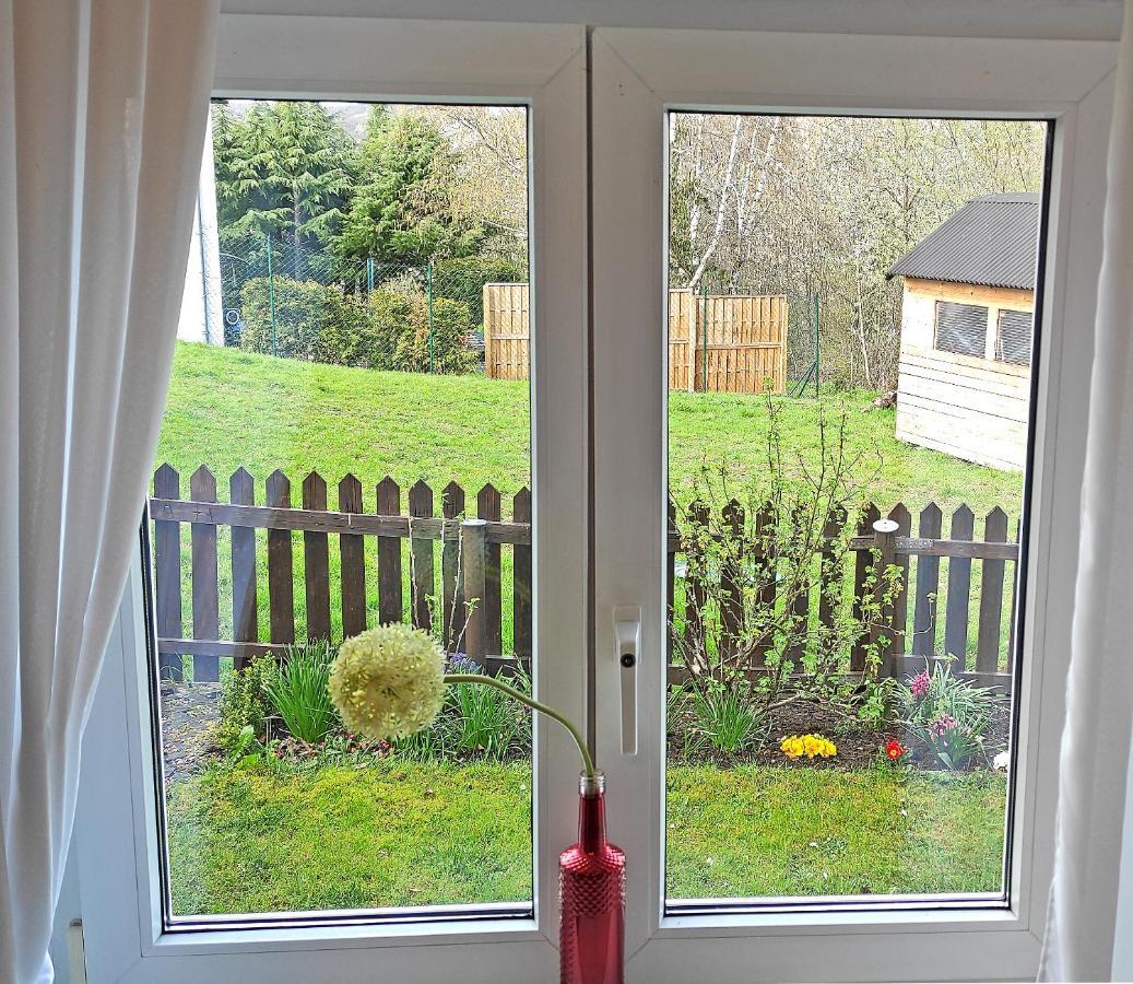 Haus Tannenweg Apartment Zell an der Mosel Bagian luar foto